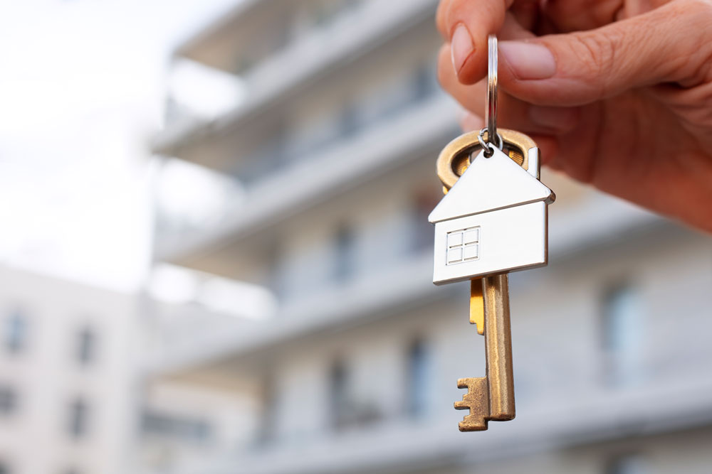 Makler Gutachter Teaser